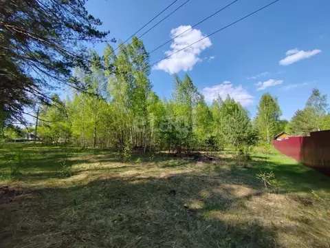 Участок в Владимирская область, Петушинский муниципальный округ, ...