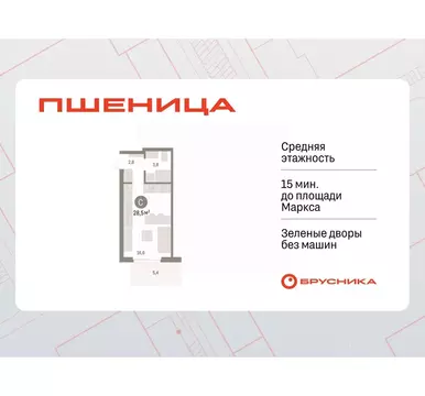 Студия Новосибирская область, Новосибирский район, Краснообск рп, 3-й ...