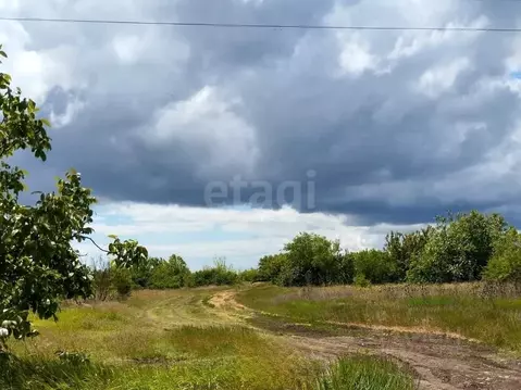 Участок в Крым, Кировский район, Синицынское с/пос, с. Васильковое ул. ...
