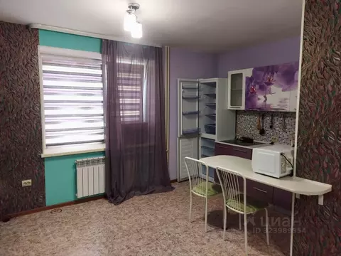 Студия Томская область, Томский район, Богашевское с/пос, пос. Ключи ...