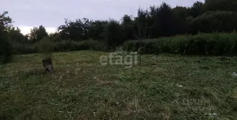 Участок в Калининградская область, Зеленоградский муниципальный округ, ...