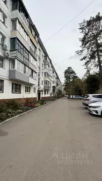 2-к кв. Алтайский край, Бийск ул. Декабристов, 2/1 (48.6 м)