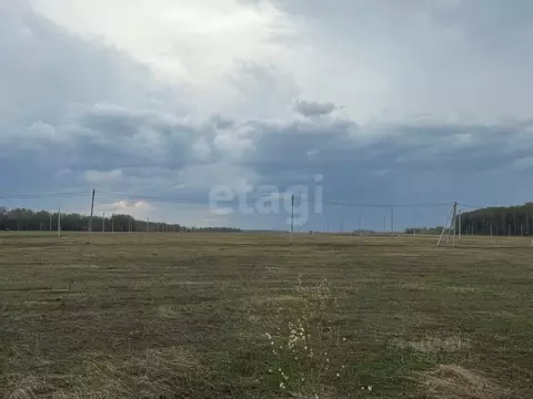 Участок в Марий Эл, Медведевский район, Руэмское с/пос, д. Нолька ул. ...