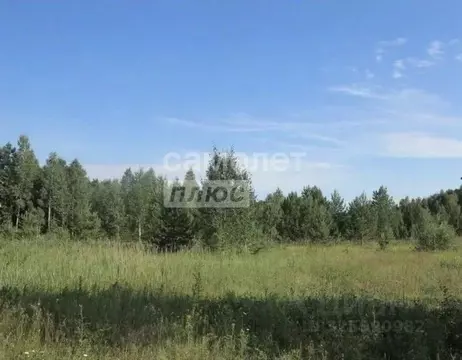 Участок в Тюменская область, Нижнетавдинский муниципальный округ, ...