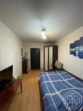 Комната Санкт-Петербург, Санкт-Петербург, Красное Село ул. ...