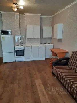 Студия Новосибирская область, Новосибирск ул. Татьяны Снежиной, 39 ...