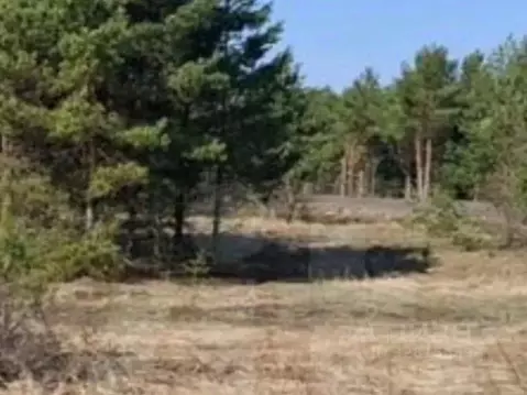 Участок в Тверская область, Калининский муниципальный округ, д. ...