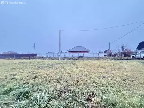 Участок в Толмачево, Берёзовая улица (615 м)