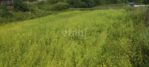 Участок в Томская область, Томский район, д. Малая Михайловка Новая ...