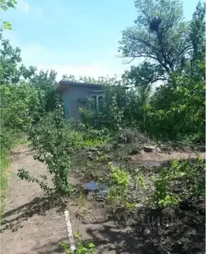 Участок в Астраханская область, Астрахань Артемовец СНТ, 105 (10.1 ...