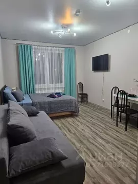 Студия Пермский край, Пермь ул. Куйбышева, 135 (27.0 м)