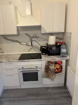 Студия Ленинградская область, Всеволожский район, пос. Бугры ул. ...