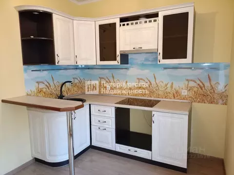 1-к кв. Санкт-Петербург просп. Ветеранов, 169к3 (31.9 м)