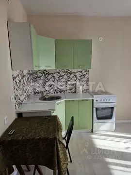 Студия Тюменская область, Тюмень ул. Фармана Салманова, 4 (22.7 м)