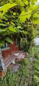 Дом в Курская область, Курский район, Щетинский сельсовет, Химфарм ...