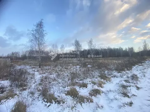 Участок в Рязанская область, Пронский район, Погореловское с/пос, д. ...