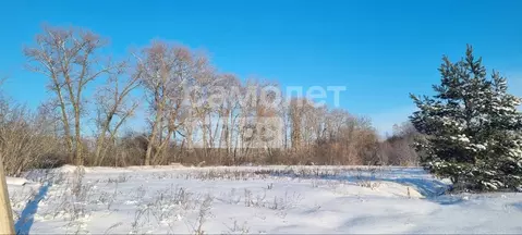 Участок в Курская область, Курский район, Клюквинский сельсовет, пос. ...