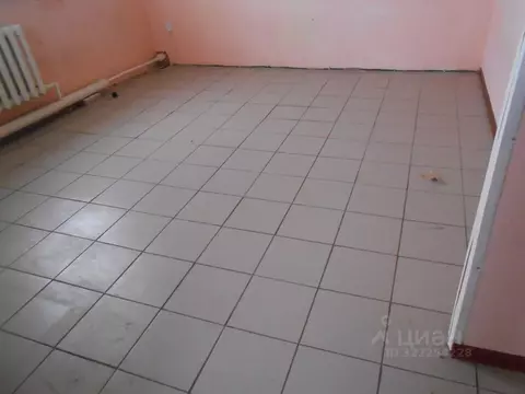 Помещение свободного назначения в Челябинская область, с. Еткуль ул. ...