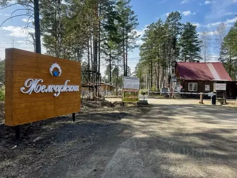 Участок в Иркутская область, Иркутск  (8.0 сот.)