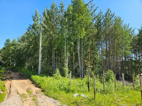 Участок в Иркутская область, Иркутский муниципальный округ, Флора СНТ ...