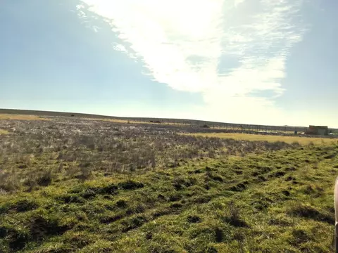 Участок в Крым, Симферопольский район, Кольчугинское с/пос  (6.0 сот.)