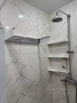 Студия Московская область, Балашиха ул. Яганова, 3 (19.5 м)