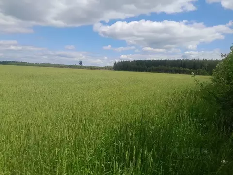 Участок в Тверская область, Зубцовский муниципальный округ, д. ...