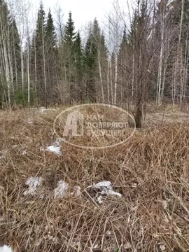 Участок в Пермский край, Пермь ул. 1-я Соболинская (250000.0 сот.)