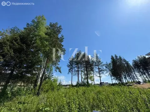 Участок в Всеволожский район, Бугровское городское поселение, деревня ...