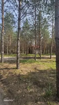 Участок в Самарская область, Ставропольский район, Ташелка с/пос, с. ...