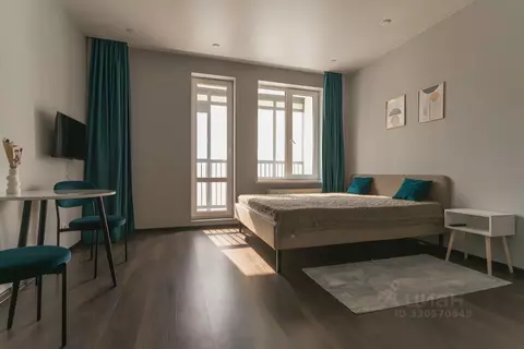 Студия Санкт-Петербург Фарфоровская ул., 7к1 (24.9 м)