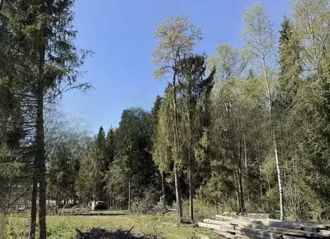 Участок в Московская область, Дмитровский муниципальный округ, д. ...