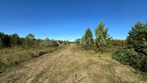 Участок в Свердловская область, Слободо-Туринский район, ...