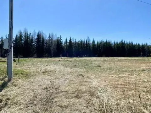 Участок в Татарстан, Высокогорский район, Чернышевское с/пос, с. ...