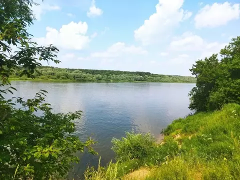 Участок в Тульская область, Ясногорский район, Иваньковское с/пос, ...
