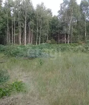 Участок в Нижегородская область, Нижний Новгород пос. Березовая Пойма, ...