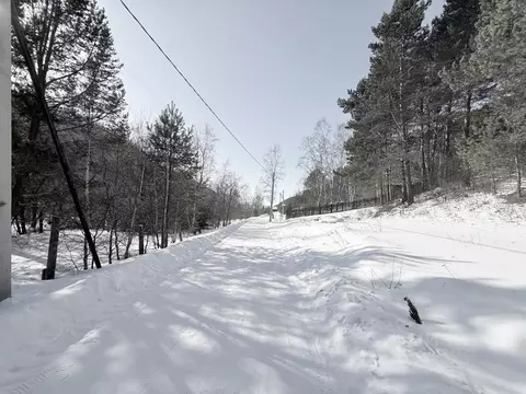 Участок в Иркутская область, Иркутский муниципальный округ, Листвянка ...