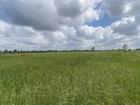 Участок в Самарская область, Волжский район, Лопатино с/пос, пос. ...