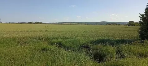 Участок в Краснодарский край, Северский район, Ильское городское ...