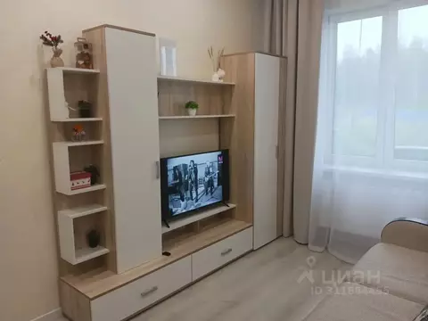 Студия Ленинградская область, Сертолово Всеволожский район, ...