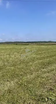 Участок в Калужская область, Перемышльский район, Большие Козлы с/пос, ...