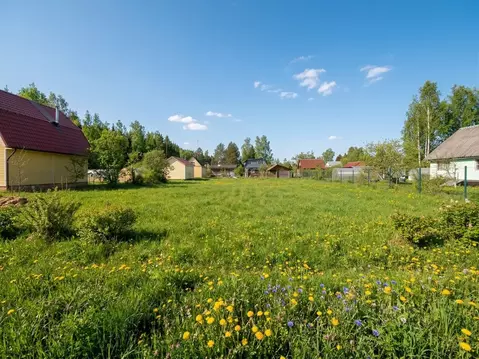 Участок в Ленинградская область, Гатчинский муниципальный округ, Чаща ...