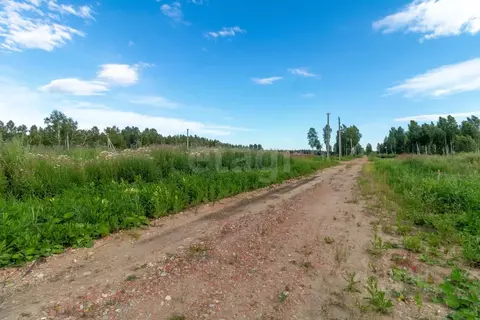 Участок в Тюменская область, Нижнетавдинский район, Тюневское с/пос, 7 ...