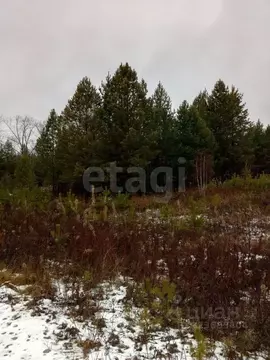 Участок в Свердловская область, Талица ул. Луначарского (12.06 сот.)