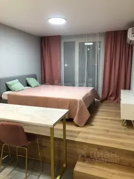 Студия Санкт-Петербург 26-я Васильевского острова линия, 7 (20.0 м)