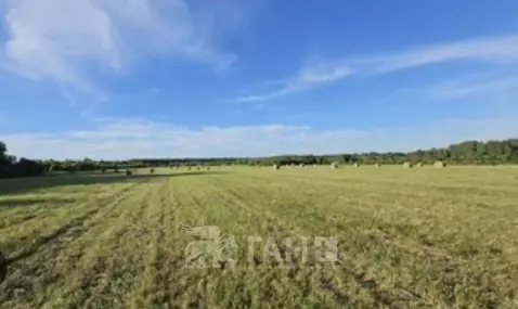 Участок в Ленинградская область, Гатчинский муниципальный округ, д. ...