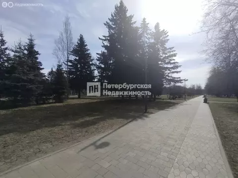 2-комнатная квартира: Санкт-Петербург, Замшина улица, 18 (41.8 м)