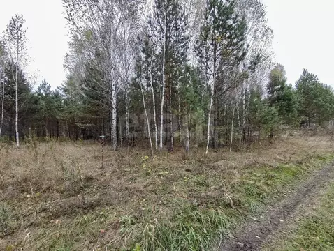 Участок в Тюменская область, Нижнетавдинский муниципальный округ, д. ...