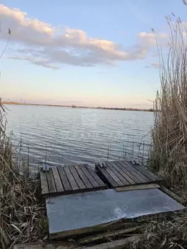 Участок в Волгоградская область, Волгоград Факел СНТ, ул. 1-я (6.07 ...