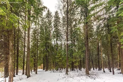 Участок в деревня Дарьино, территория Новое Николино (26 м)